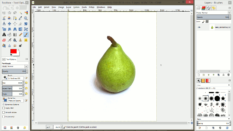 shape changer software pear inc